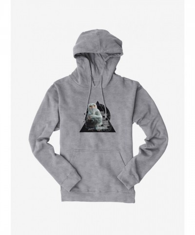 Fantastic Beasts Demiguise Geometric Hoodie for Men