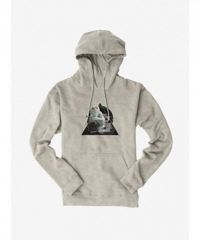 Fantastic Beasts Demiguise Geometric Hoodie for Men